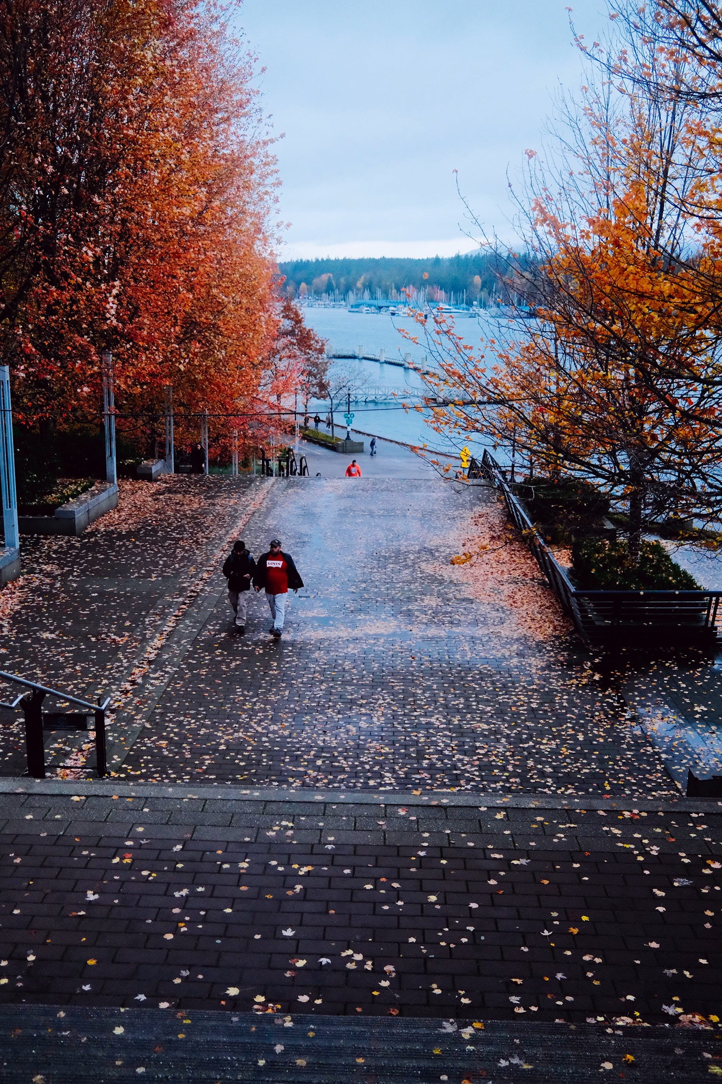 Two people walking up wet, leaf-covered steps between bright orange autumn trees, the harbour and marina below.